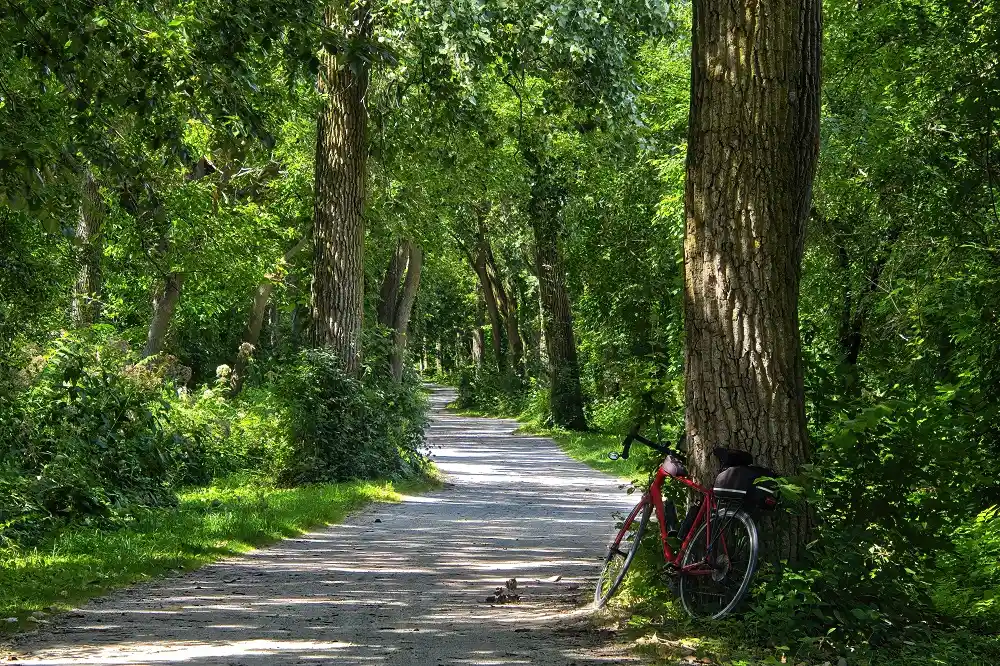 Illinois Prairie Path