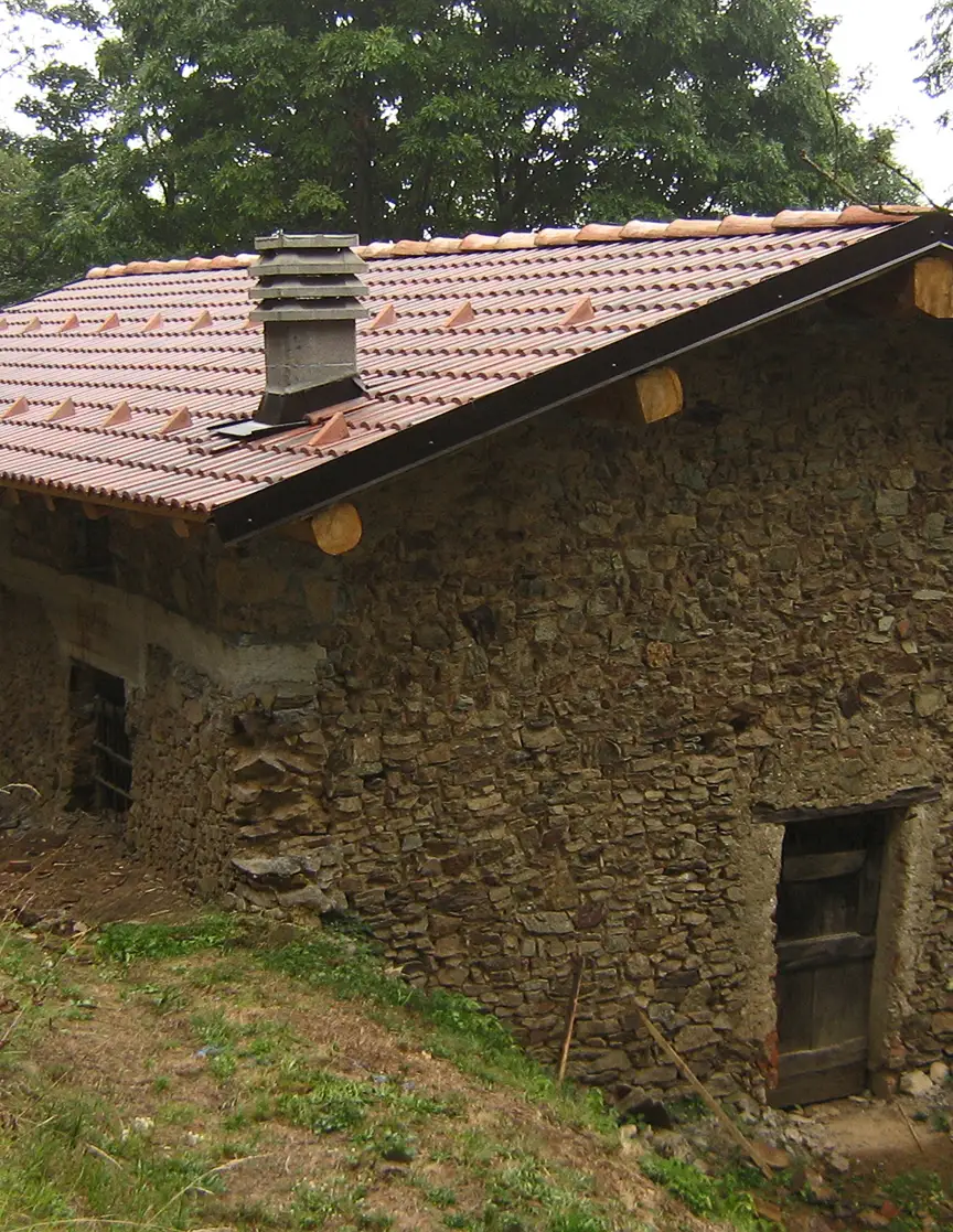 Rustico ristrutturato con portone in legno e balcone fiorito in Ticino