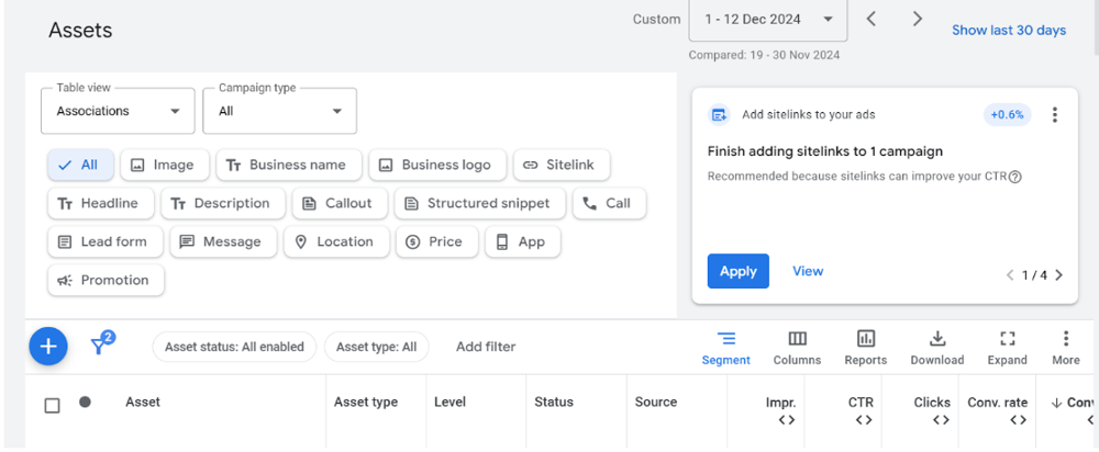 find Assets in Google Ads