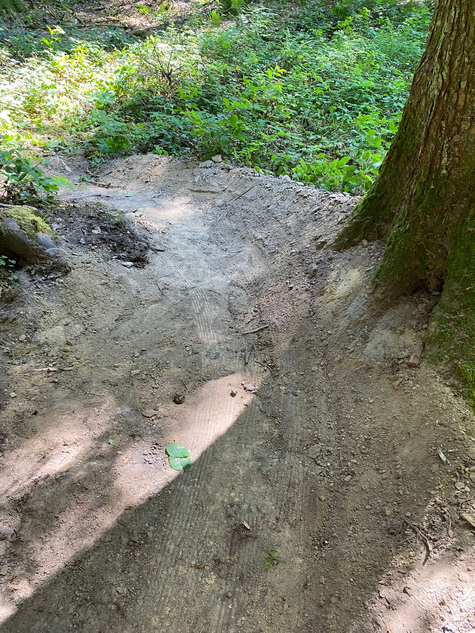 Trailnetz Oberaargau - Jura Südfuss