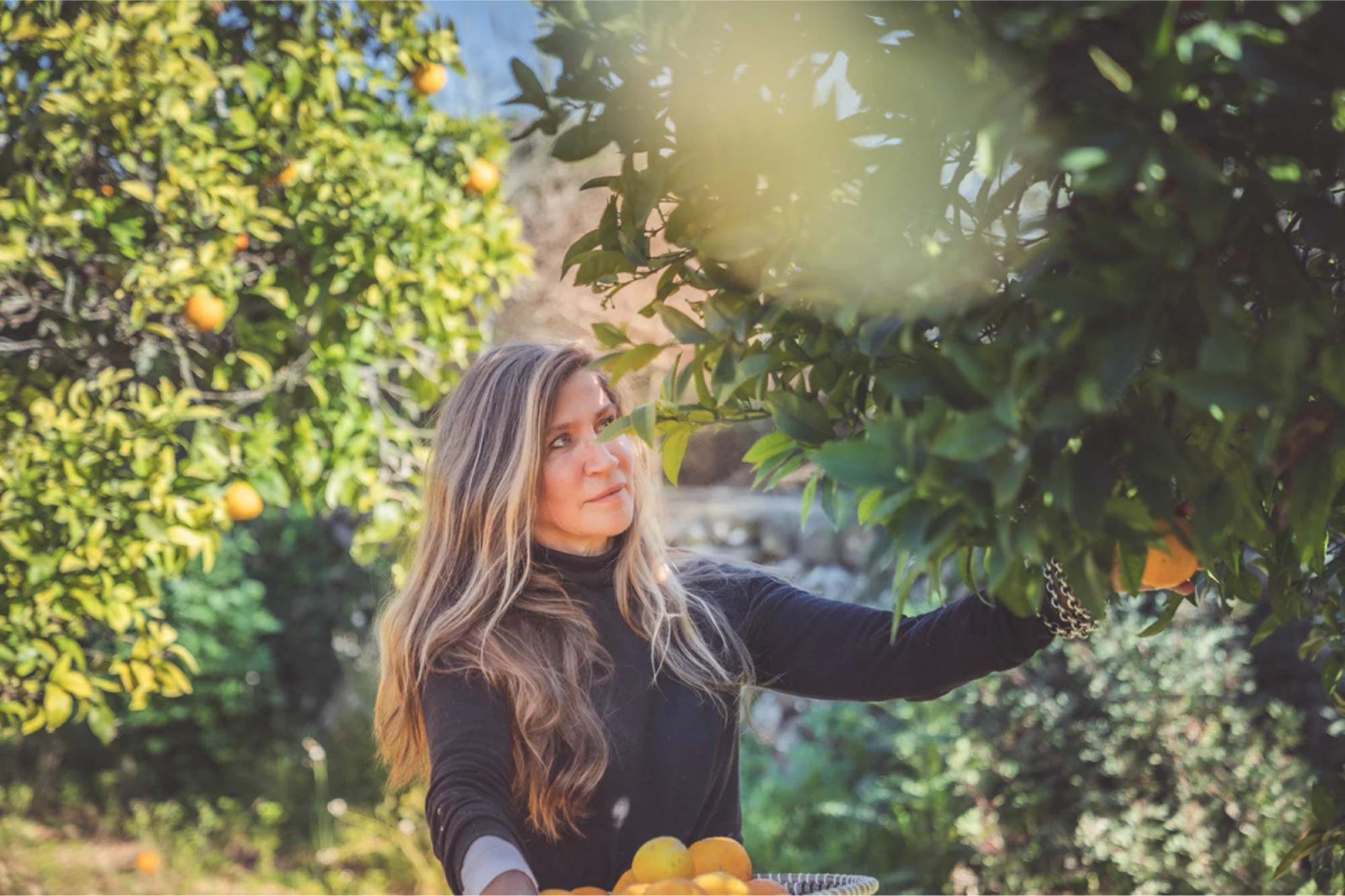 The Finca "Torre de Son Sard", fotografiert von Alex Bunge