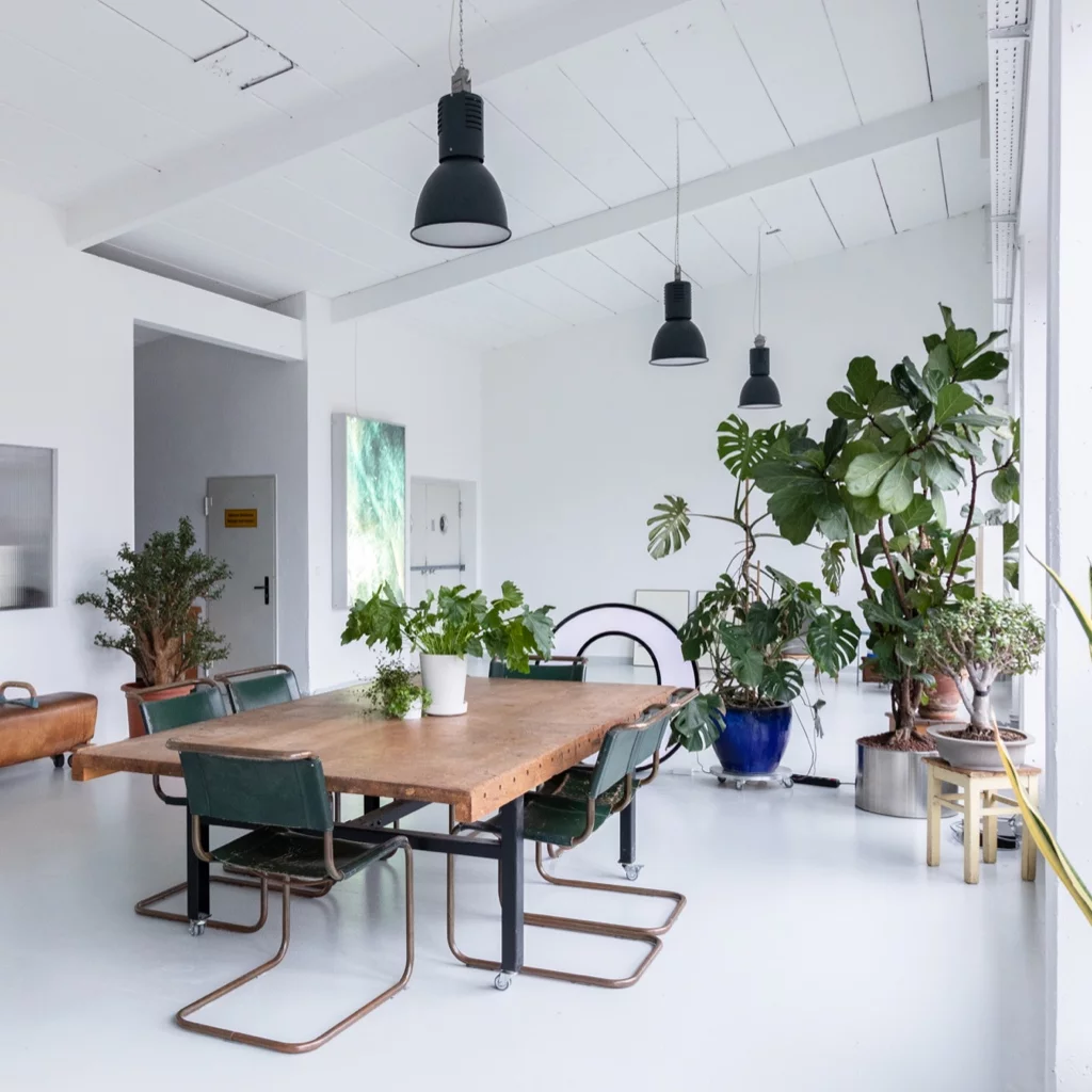 studio mit esstisch und pflanzen