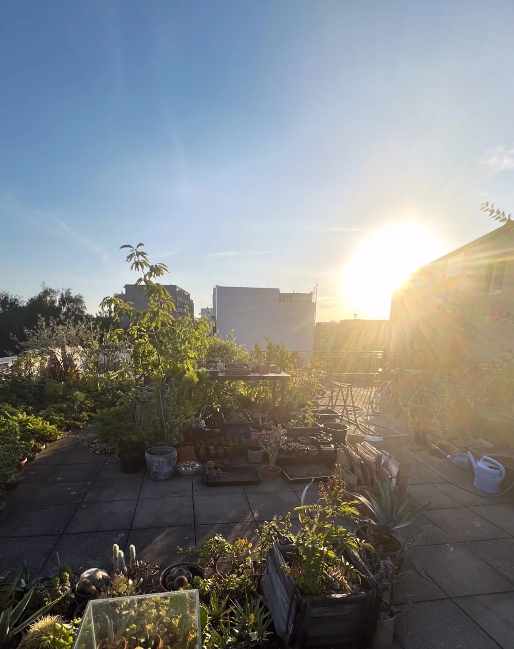 Terrasse Westen