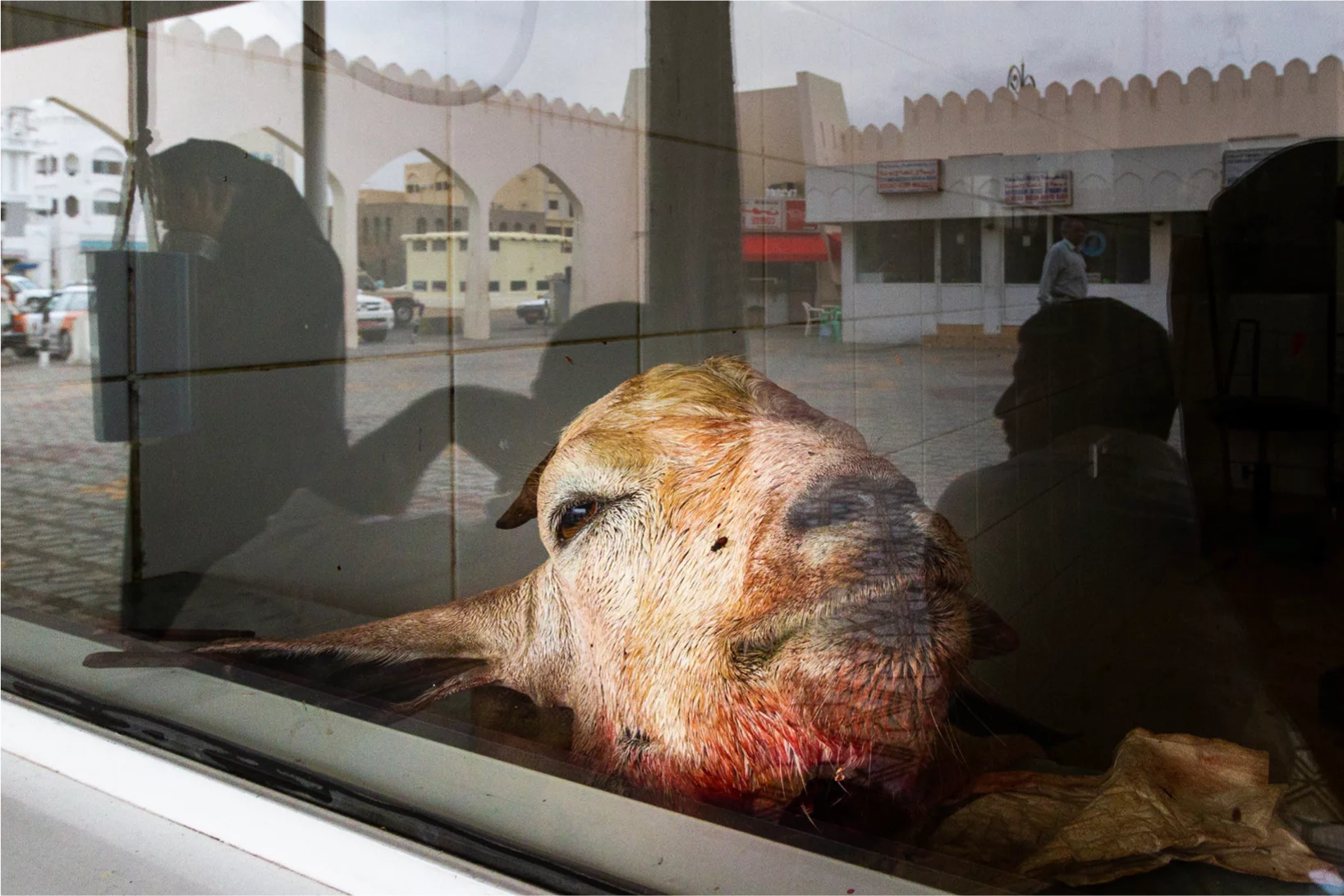 Ziegenkopf in einem Schaufenster auf einem Markt im Oman