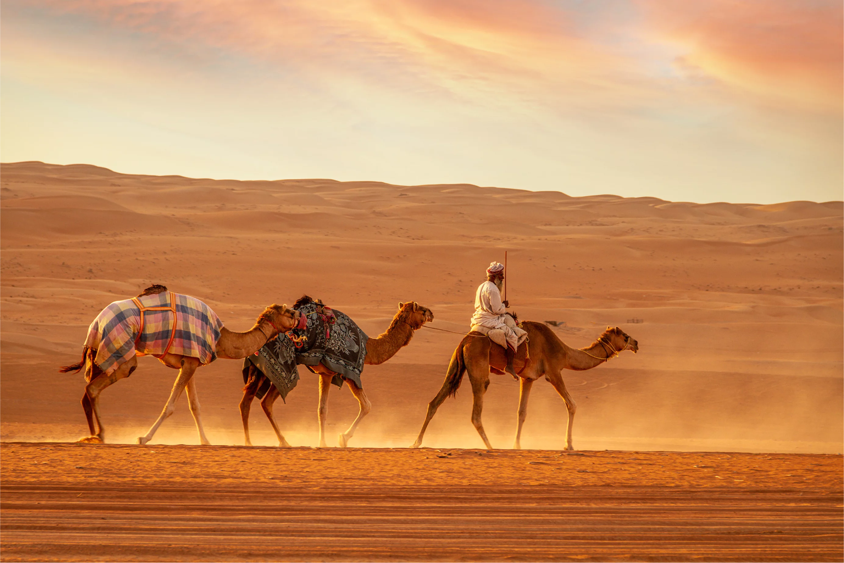 Kamelkarawane in den Dünen der Wahiba Sands im Oman