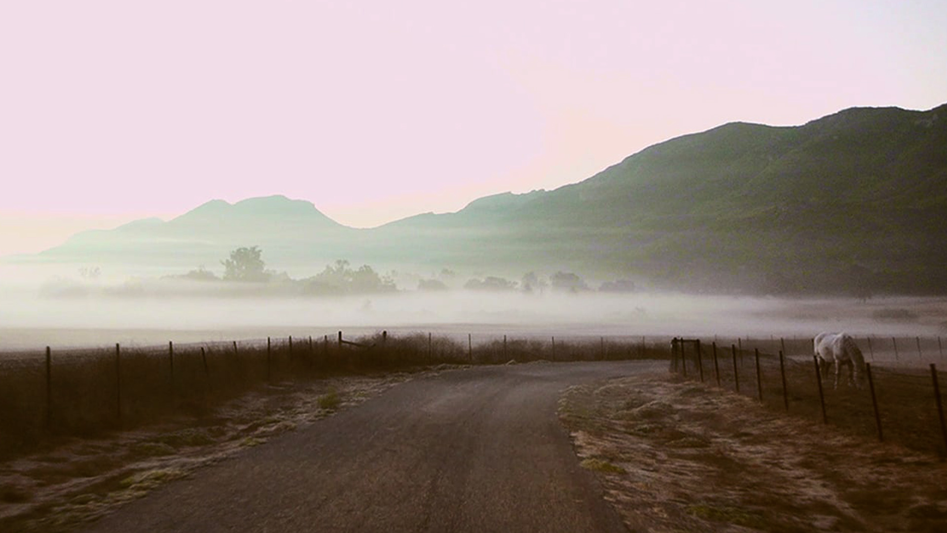 Gartenparty-Setting aus dem Making-of-Film zur Tom Tailor Spring/Summer Campaign