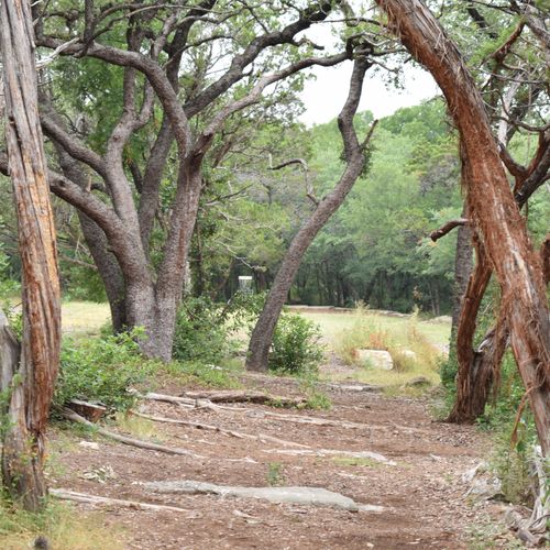 Hole 4 at Zilker Park Disc Golf Course