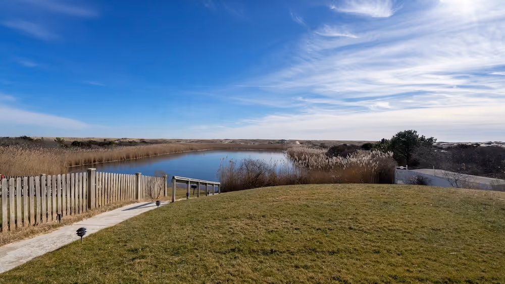 Small pond surrounded by tall grasses and reeds under a blue sky with some clouds, viewed from a grassy area with a wooden fence and paved path.