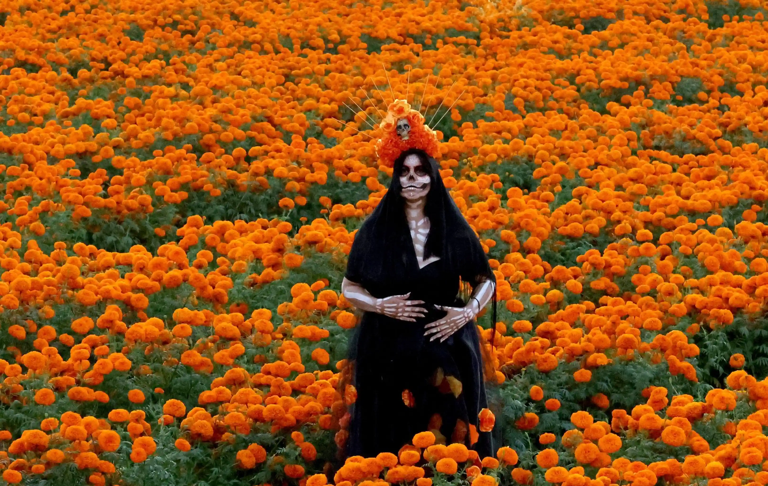 A woman dressed as a Catrina, with her face painted as a skull and wearing an orange and red floral headdress, stands in the middle of a vast field of blooming cempasúchil flowers.