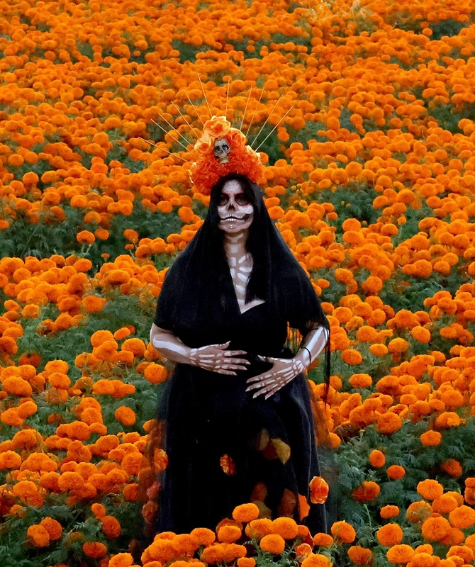 A person characterized as a Catrina, with a skull-painted face and a marigold headdress, poses in the middle of a dense field of vibrant orange cempasúchil flowers.