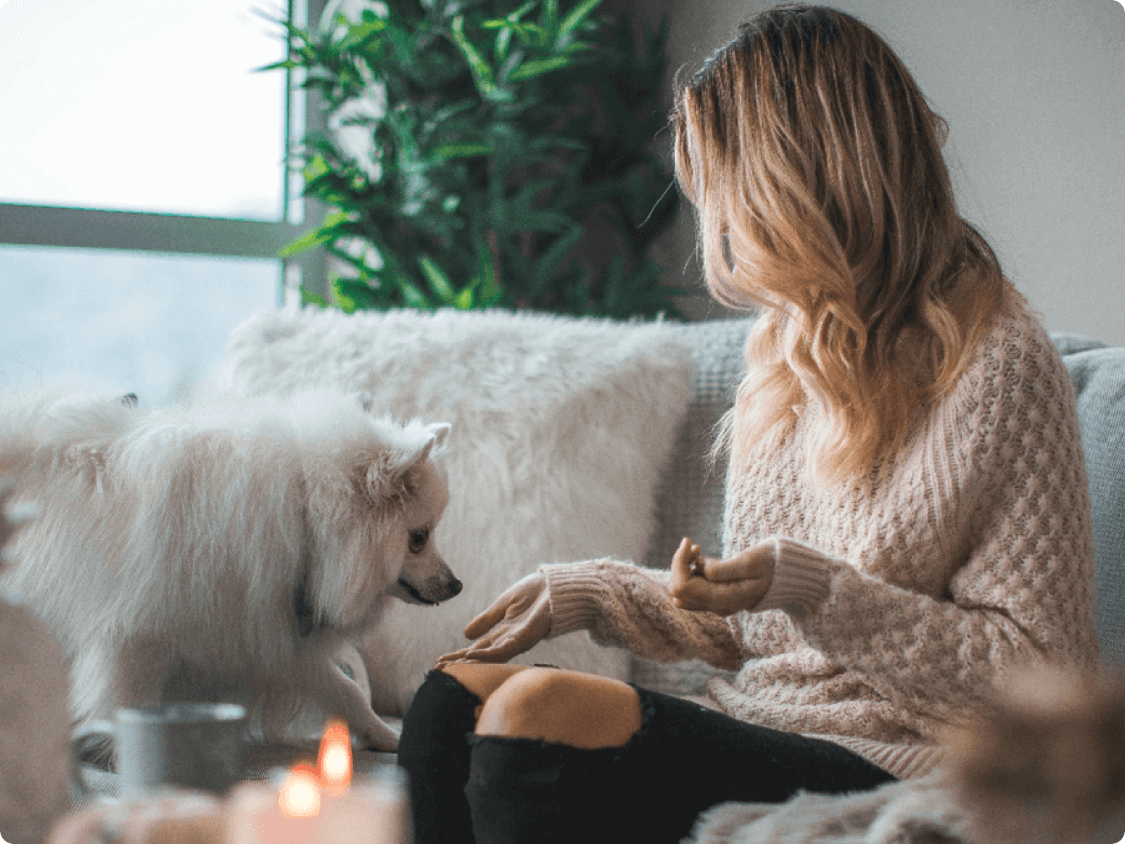 Pawternity Leave | Flexa Careers