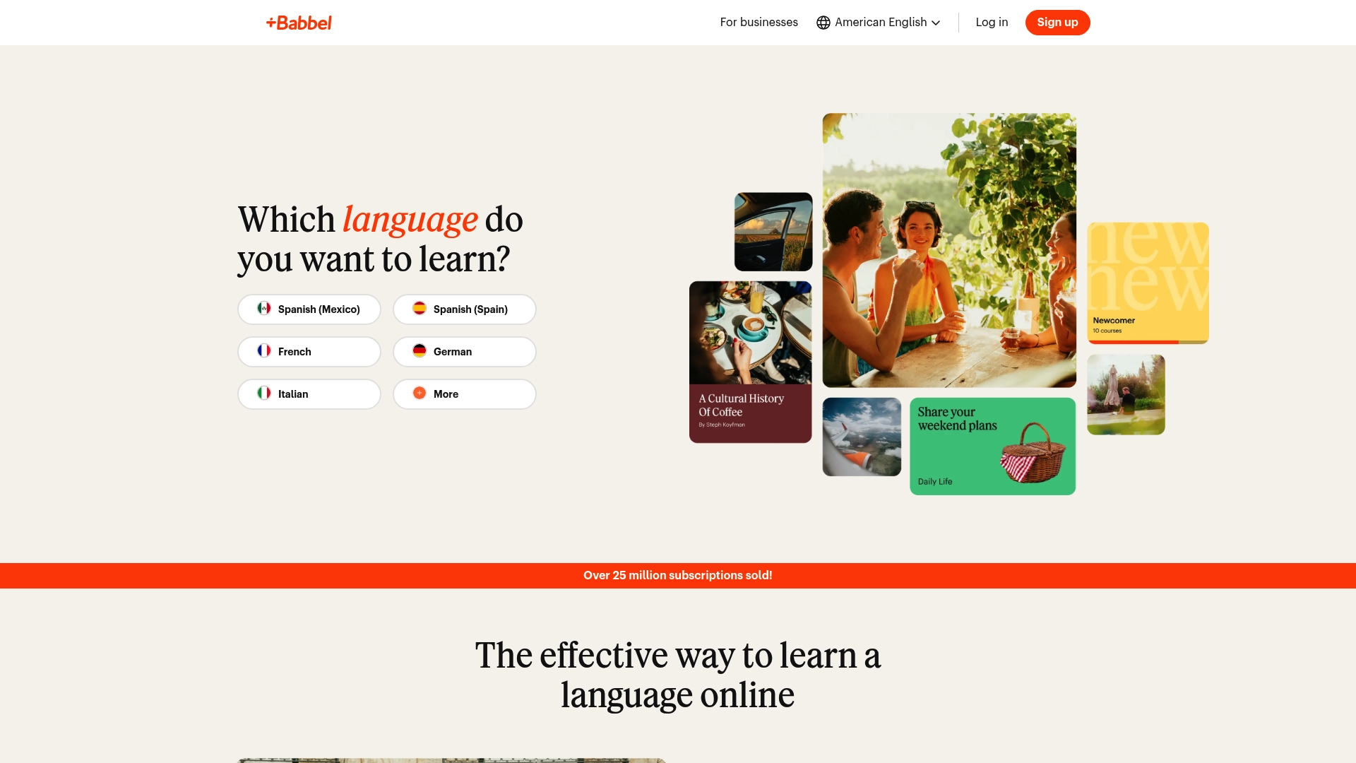 Product Screenshot