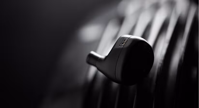 Black Ear Monitor