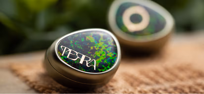 Terra Ear Monitor
