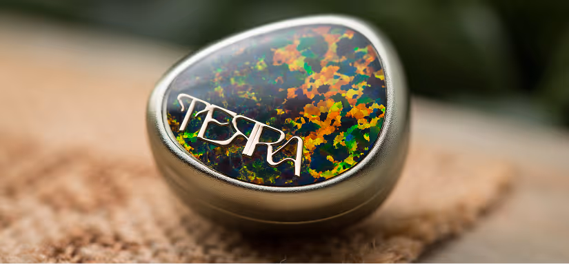 Terra Ear Monitor
