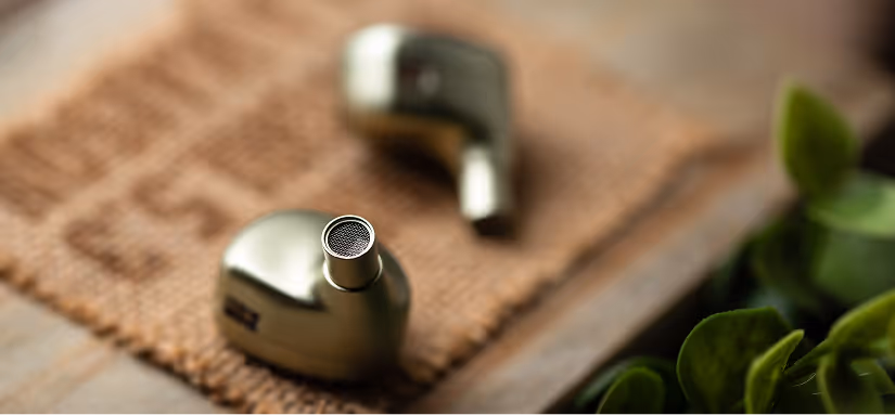 Terra Ear Monitor
