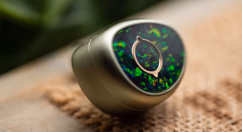 Terra Ear Monitor