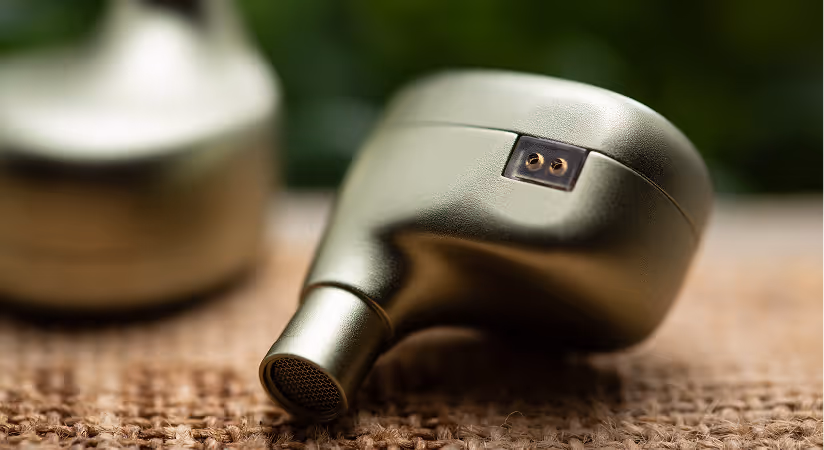 Terra Ear Monitor