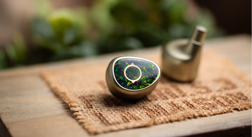 Terra Ear Monitor
