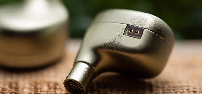 Terra Ear Monitor