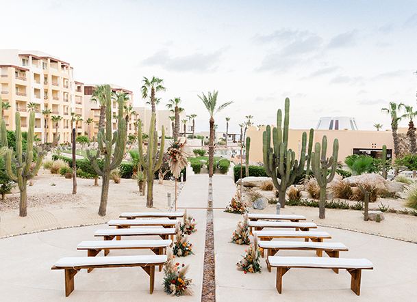 Cactus Terrace