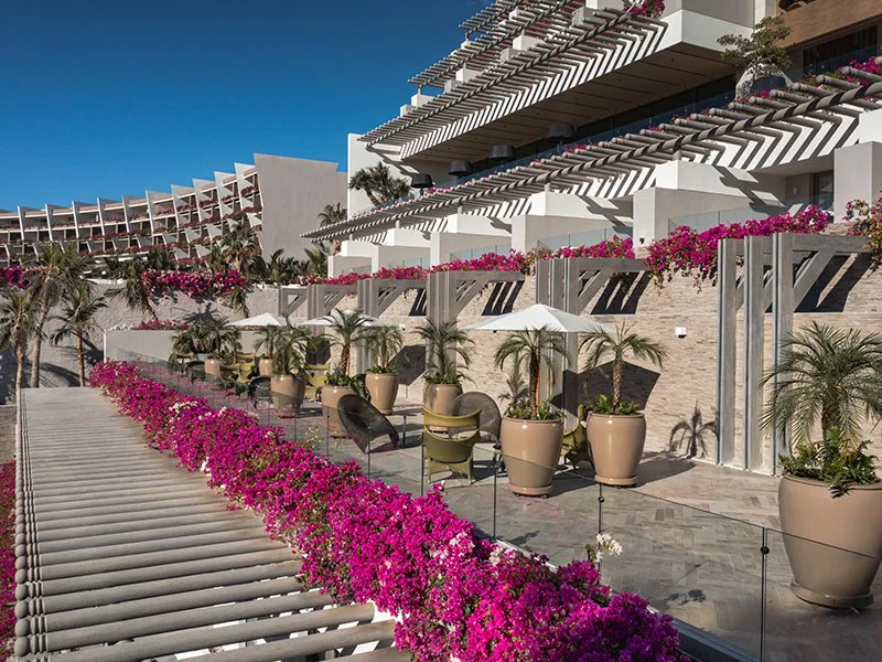 Terraza Estrella