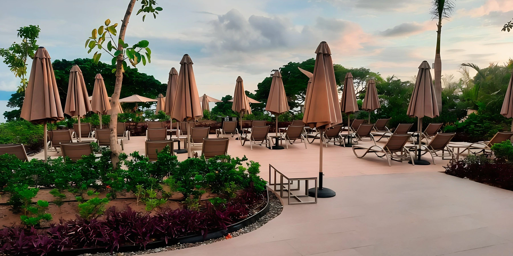 Coral Deck