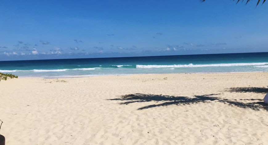 Harmonica Beach