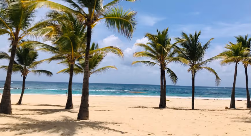 Toro Beach