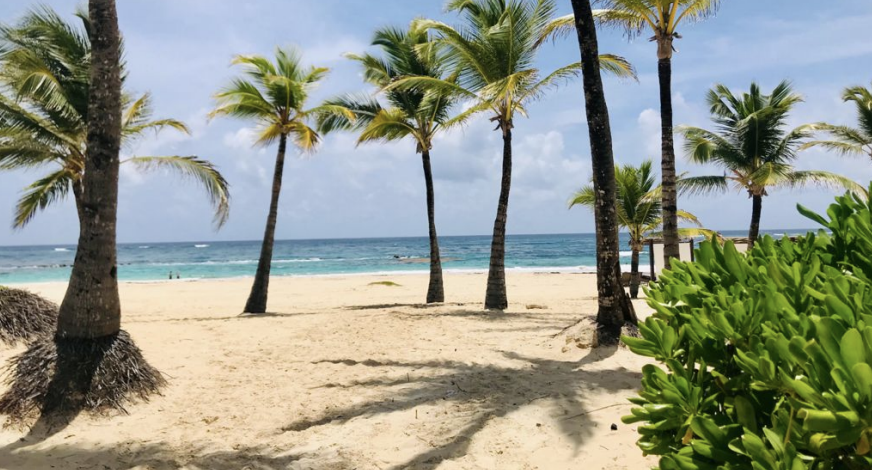 Trumpet Beach