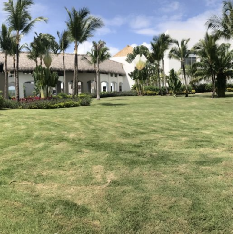 Pamls Garden