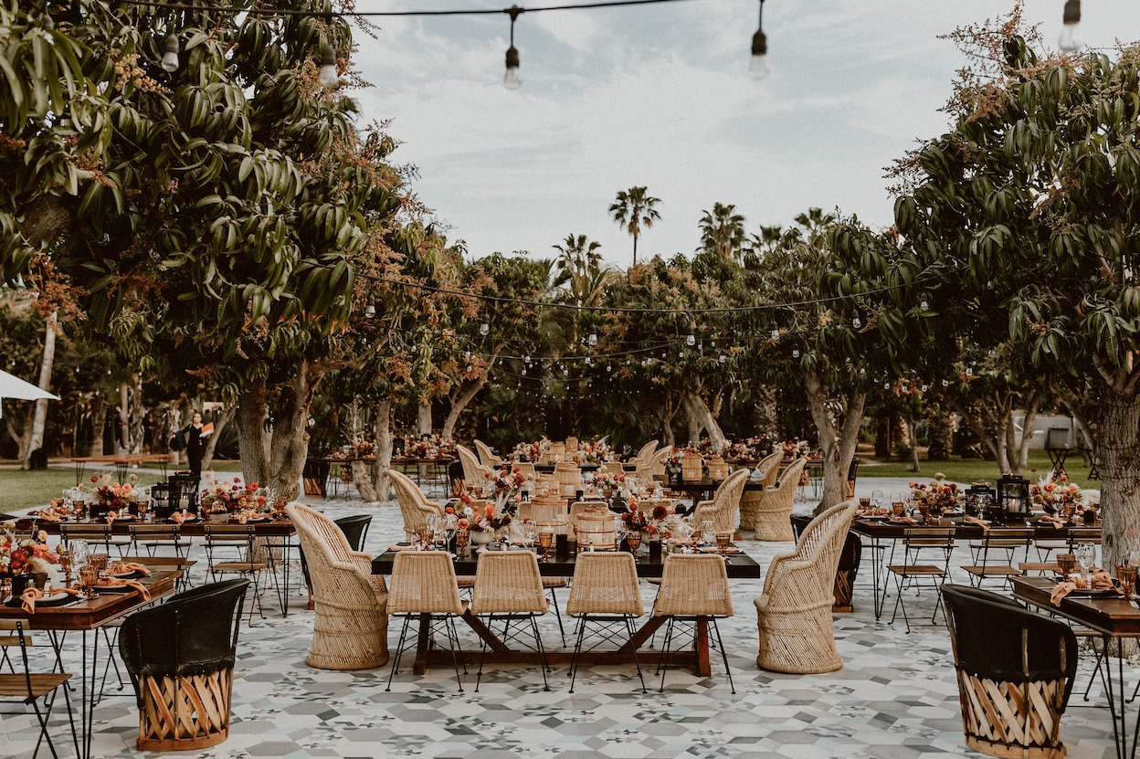 Mango Orchard