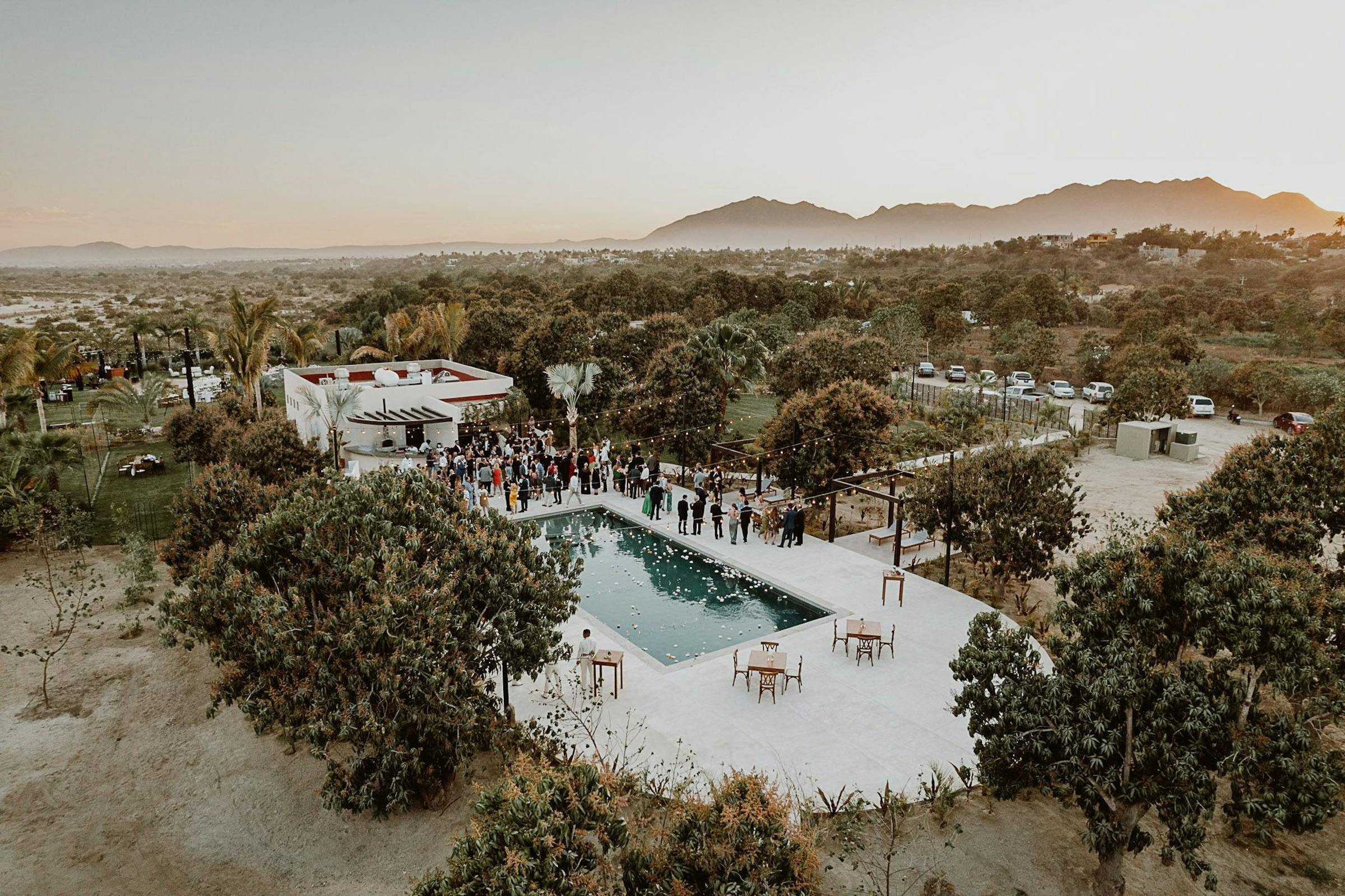 The Pool