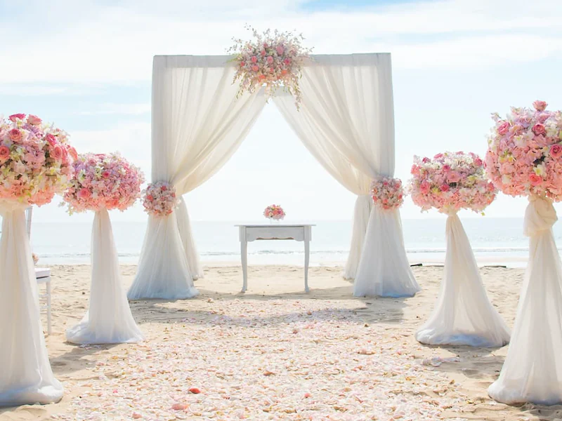 Ocean Oasis Beach View