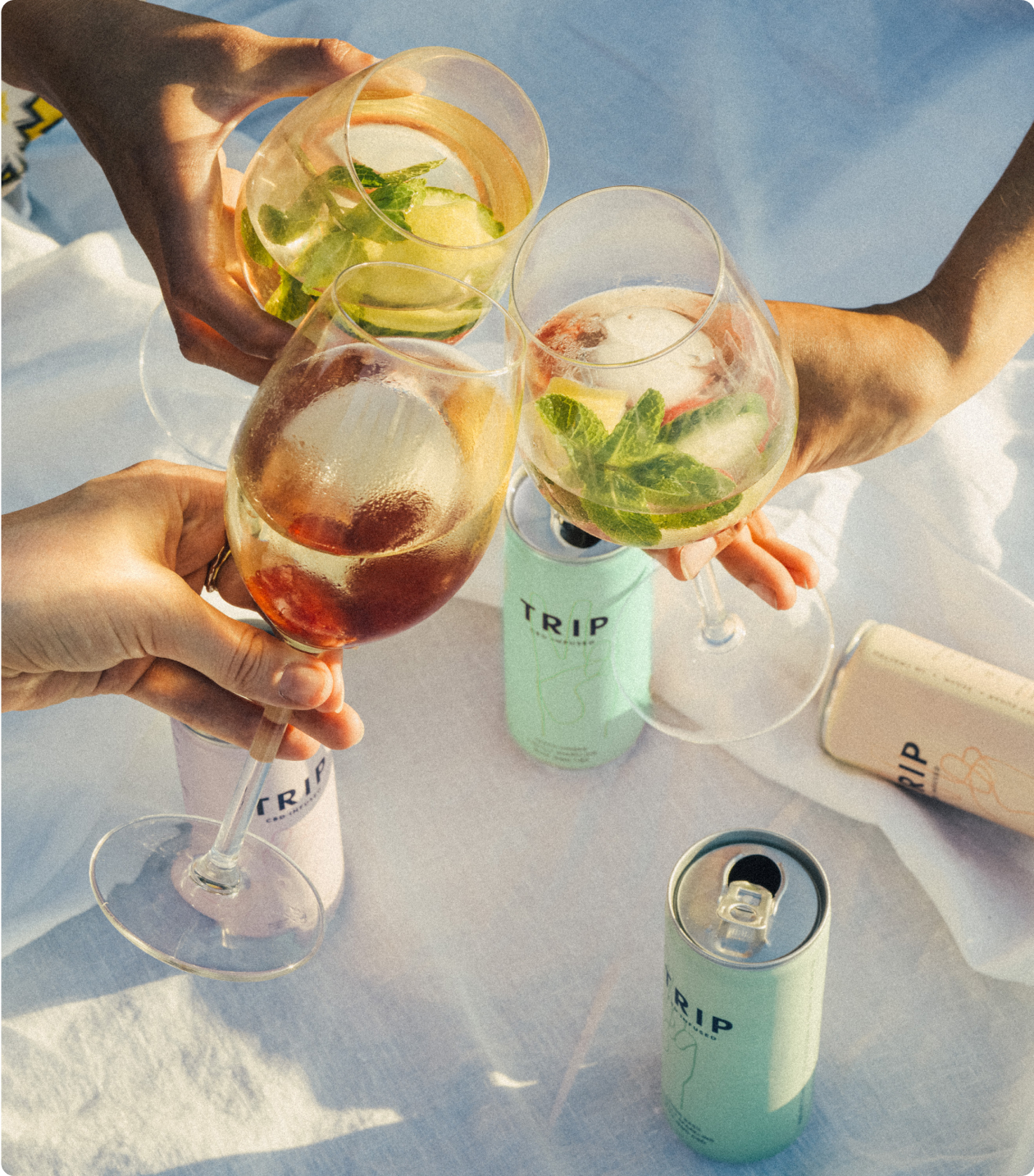 Friends toasting with TRIP drinks over ice