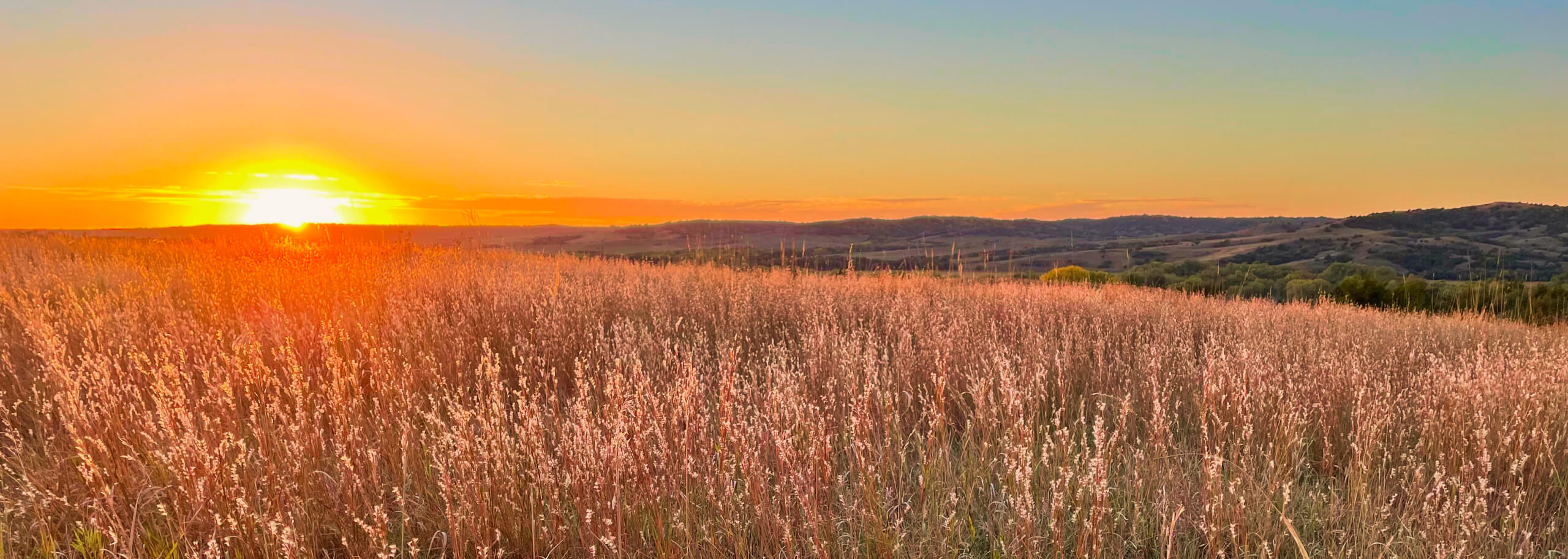 Sunset over the prairie