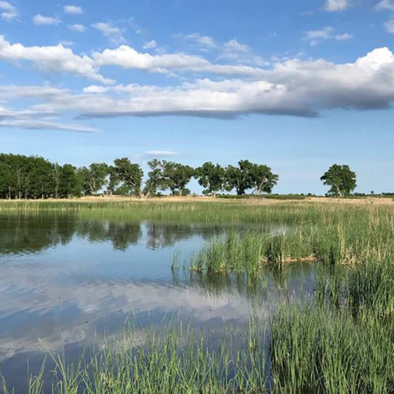 Daytime view of Quviira Wlidlife Refuge during the summer