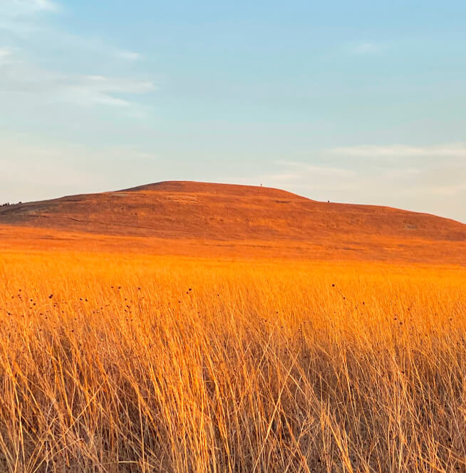 Golden prairie grass against Mt. Mitchell and a blue sky.