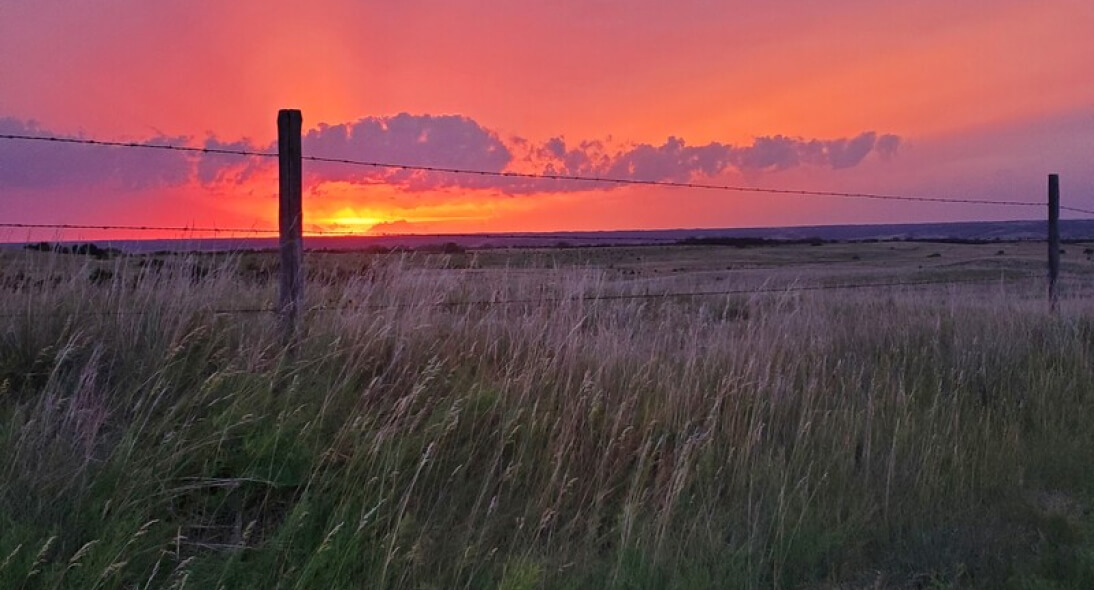 Pink sunset over the prairie