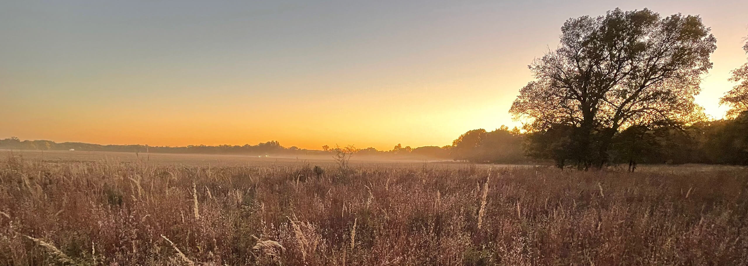 Sunset over the farmland in Achterberg