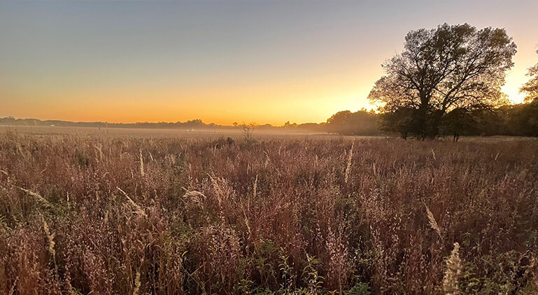 Maintenance at Achterberg
