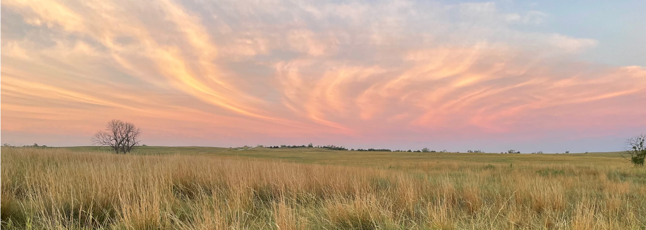 Pink prairie skies