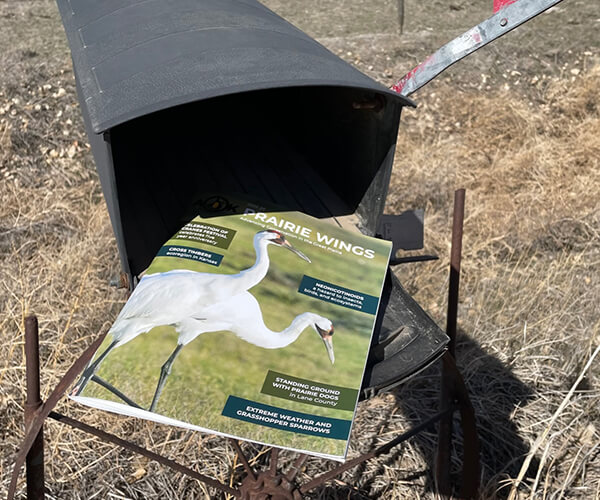 A copy of Prairie Wings magazine sticks out of a rural mailbox