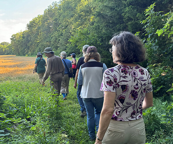 Committee members walk through one of AOK's sanctuaries
