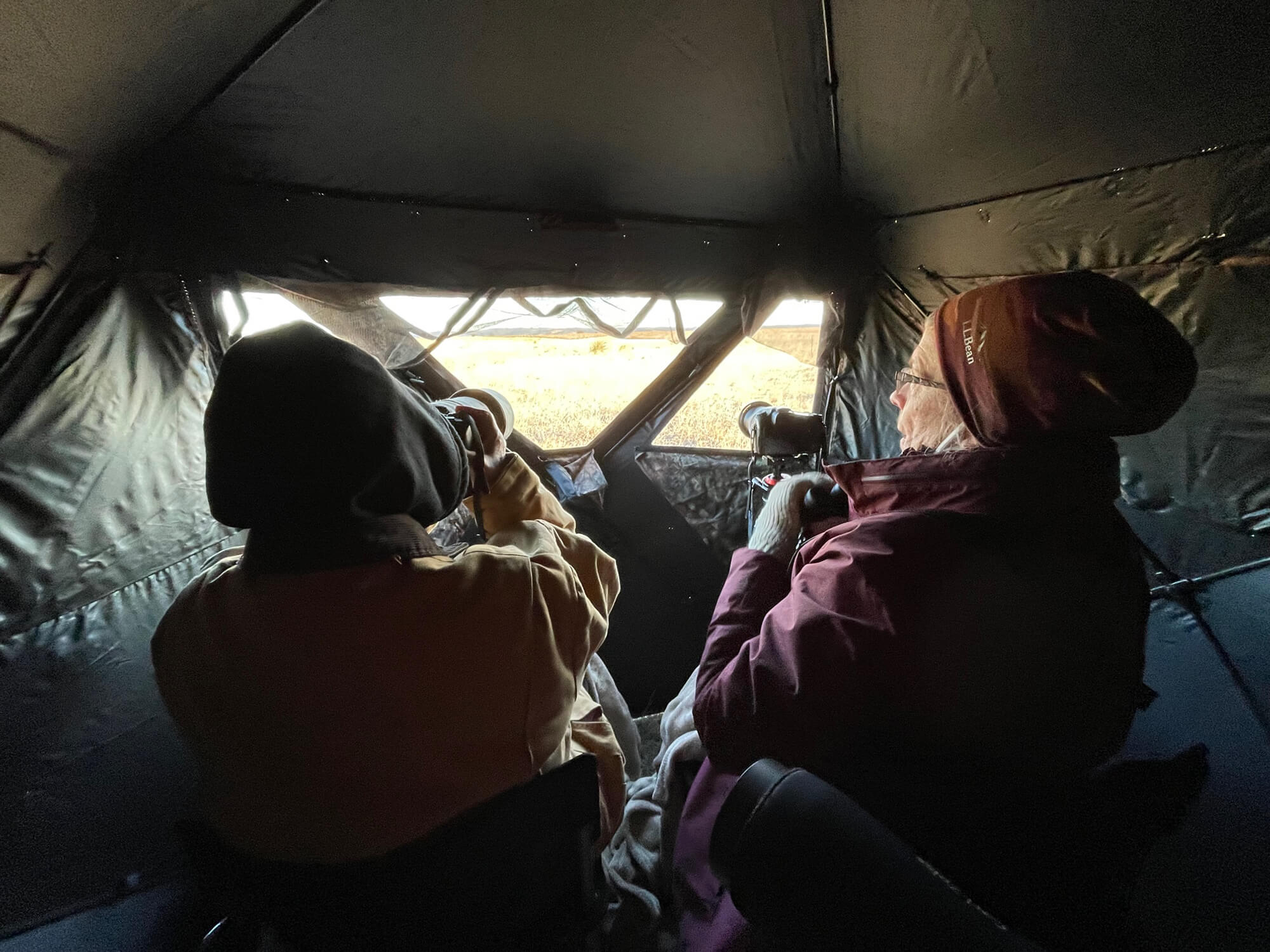 Lek Treks viewing inside the blind