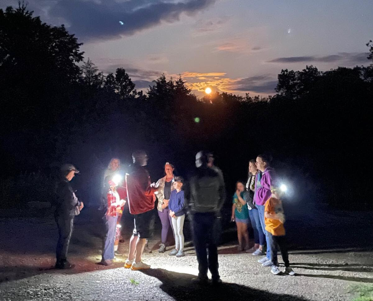Photo from the recent 'Spider Walk' at Mount Mitchell Heritage Prairie Park