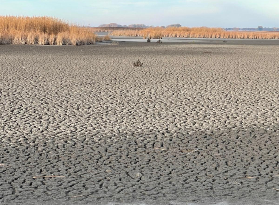 Dry pool at Quivira National Wildlife Refuge