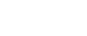 BW ESS white logo