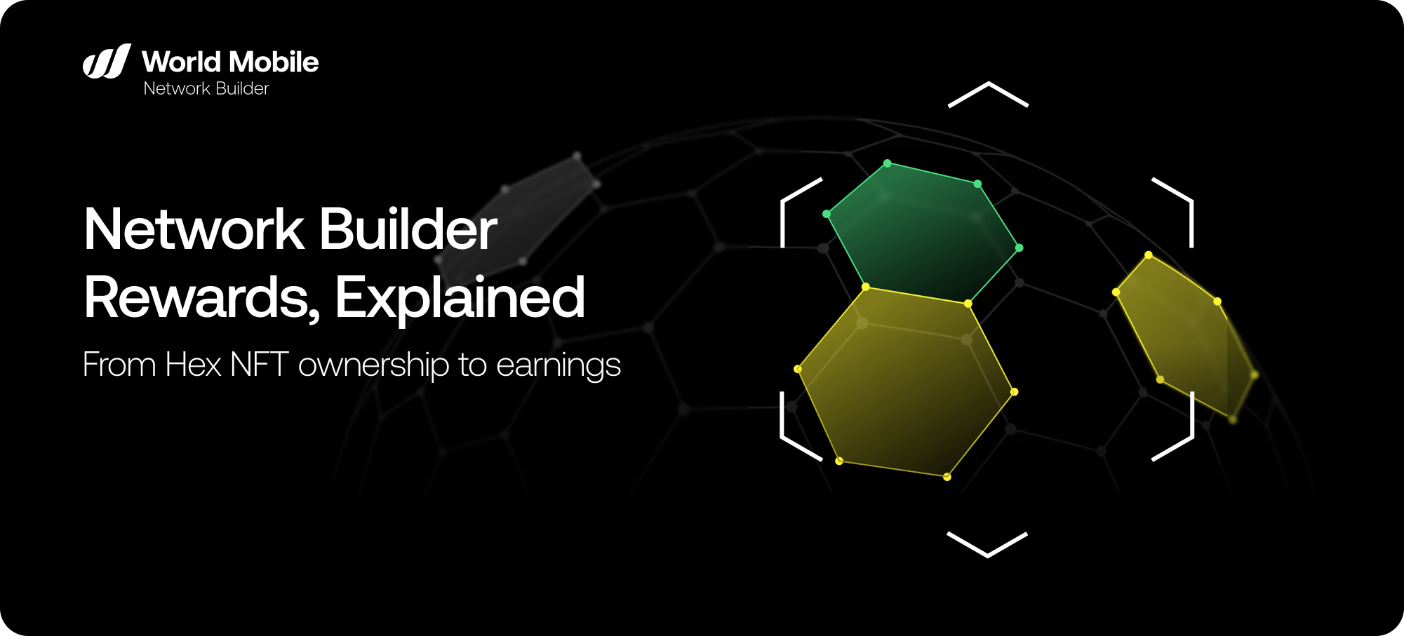 From Hex NFT Ownership to Earnings: Network Builder Rewards Explained