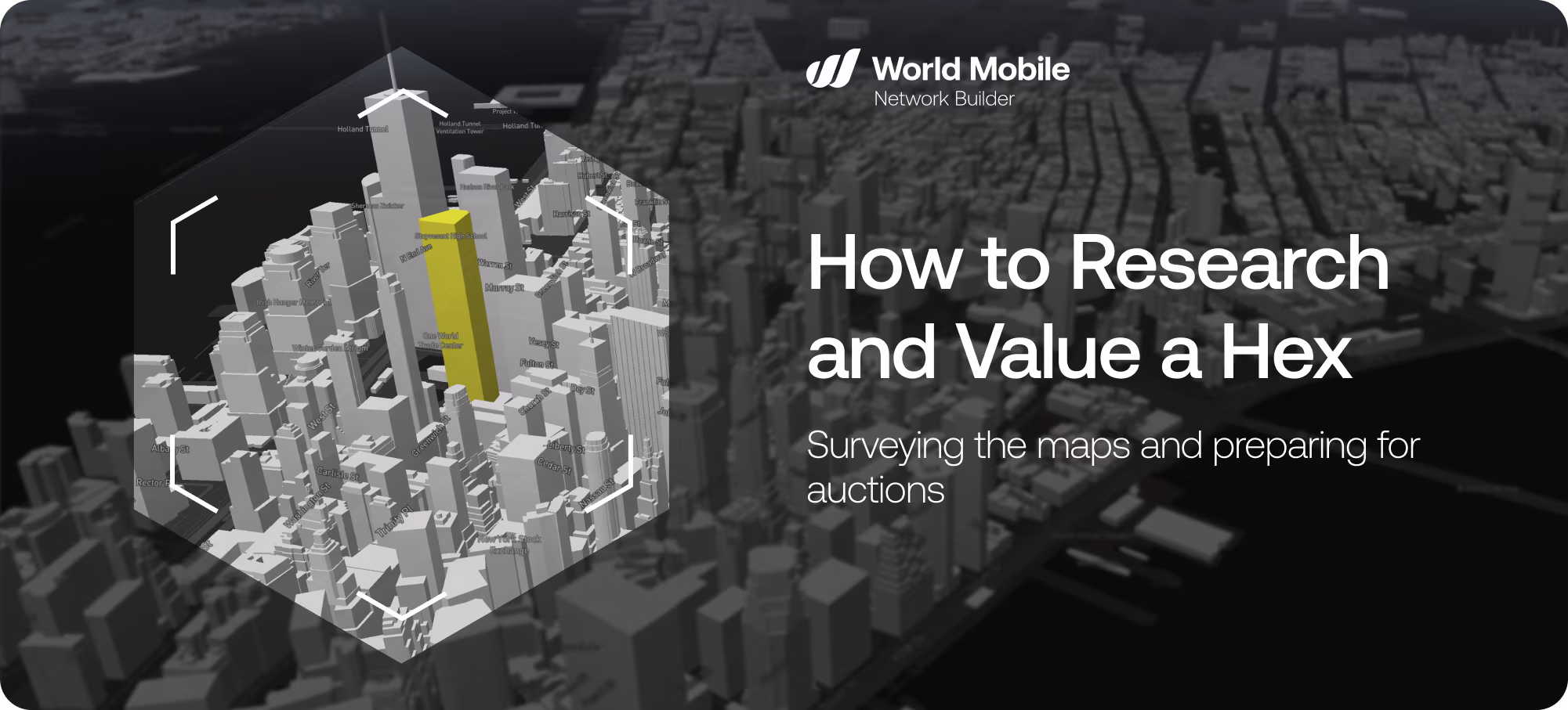 Chapter 1: How to Research and Value a Hex